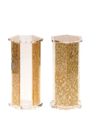 Picture of #3014-G Salt and Pepper Gold Lucite Hexagon